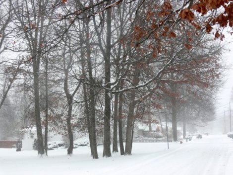 Slip Fall Case: Snow Removal