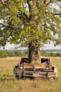 Car Crashes – How to Protect Yourself